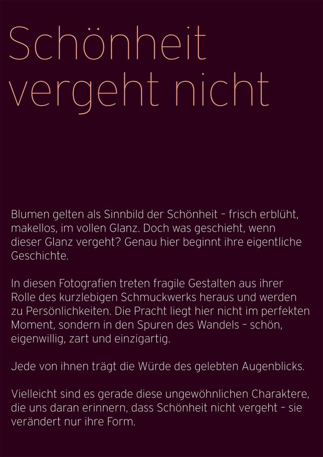 Schönheit vergeht nicht